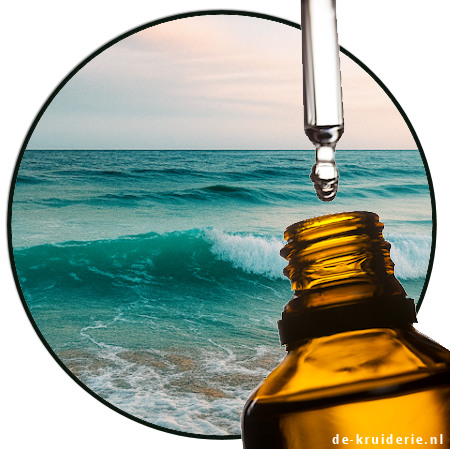 ALGENON AUS SYNAROM ALGENON AUS SYNAROM