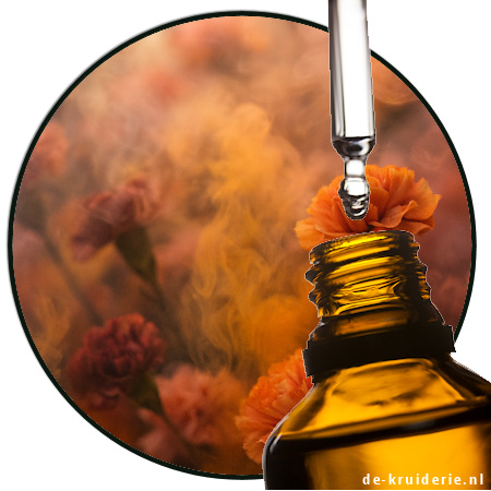 Acetyl Isoeugenol Acetyl Isoeugenol