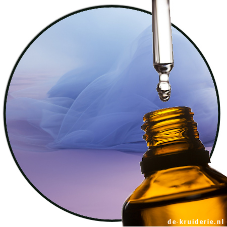 Ambretone Takasago Ambretone (Takasago) AC - Image 1