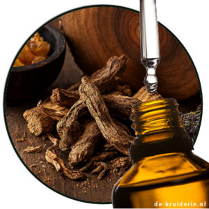 GHANDI ROOT ESSENTIAL OIL