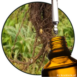 Green Nardus essential oil from de-kruiderie.nl