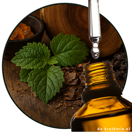 PATCHOULI BIO ÄTHERISCHES ÖL PATCHOULI BIO ÄTHERISCHES ÖL