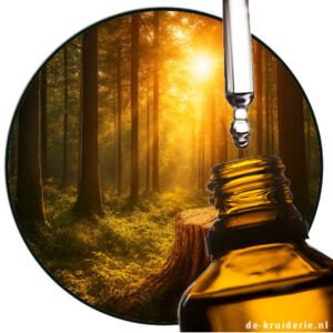 Sandal cyclopropane - javanal substitute