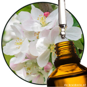 apple blossom perfume oil