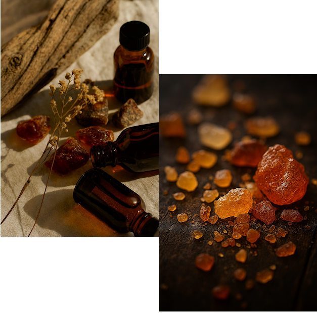 fixateursinparfumerie