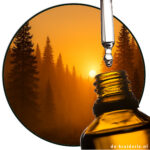 beta gurjunene of course