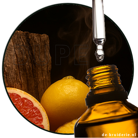 AVENTIS EMPIRE inspired by aventus absolu creed AVENTIS EMPIRE inspired by aventus absolu creed