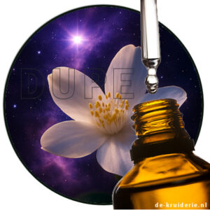 COSMIC JASMIN inspired by mugler alien