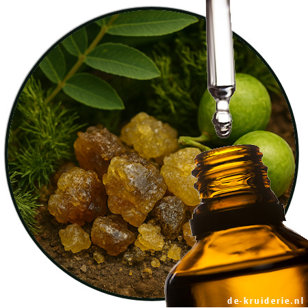 CYCLOGALBANATE CYCLOGALBANATE