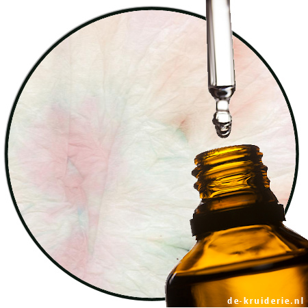 exaltolide total firmenich exaltolide total firmenich