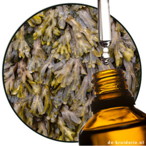 Seaweed Absolue Biolandes